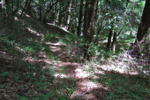 Faint use trail along Stevens Creek