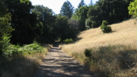 Canyon Trail, looking uphill (1700ft)