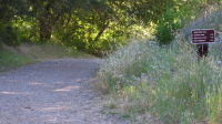 Canyon Trail & Indian Creek Trail Junction (1930ft)