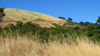 Indian Creek Trail climbing the backside of Black Mountain (1960ft)