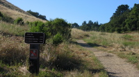 Start of the trail up Russian Ridge (2240ft)