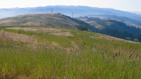 View northwest from Borel Hill (2572ft)