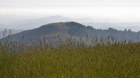 Mindego Hill (2143ft) from Borel Hill (2572ft)