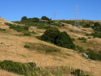 View back up the north end of Russian Ridge (2100ft)