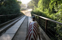 Crossing the bridge over Corte Madera Creek at the bottom (620ft)