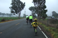Riding at the rear of the group on Ramsay Rd.