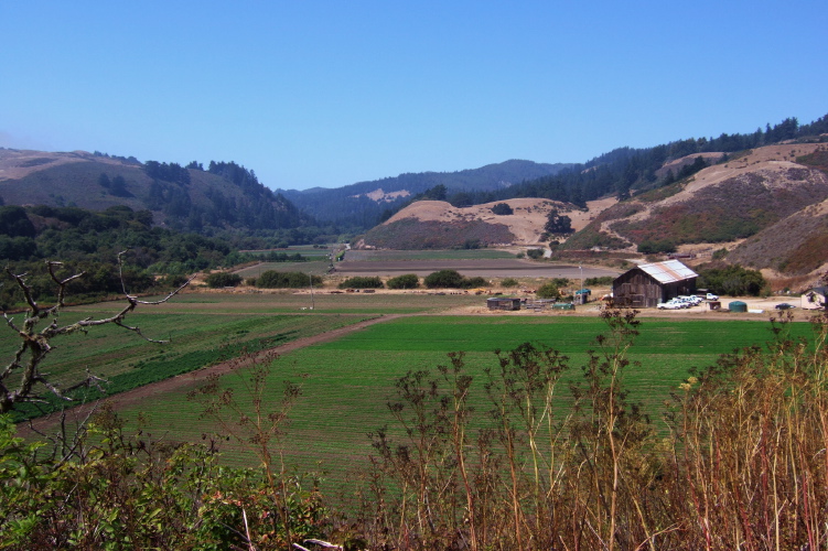 View north into Swanton.