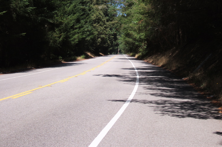 Bonny Doon Rd. on the last long, straight uphill section.