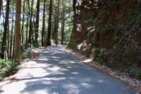 Nearing the top of Old La Honda Rd.