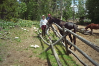 Kay and Laura meet a mule.