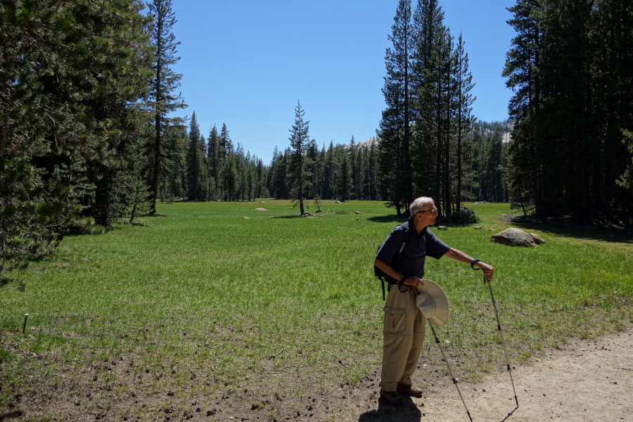 A green meadow near the trailhead