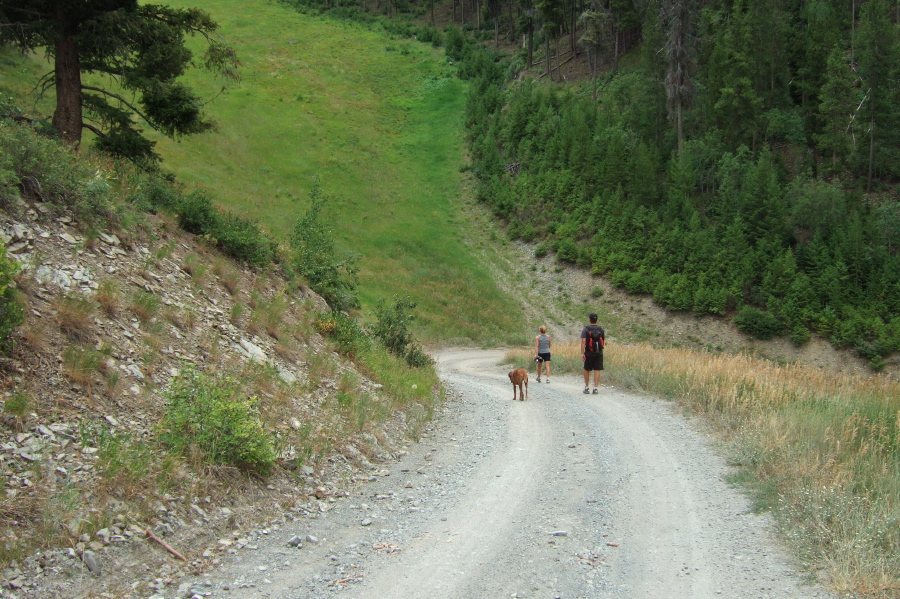 Kumba, Laura, and Michael descend the service road near the Olympic ski run