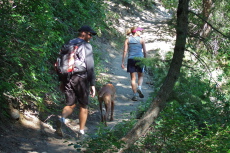 Laura, Kumba, and Michael head up the Bald Mountain Trail.