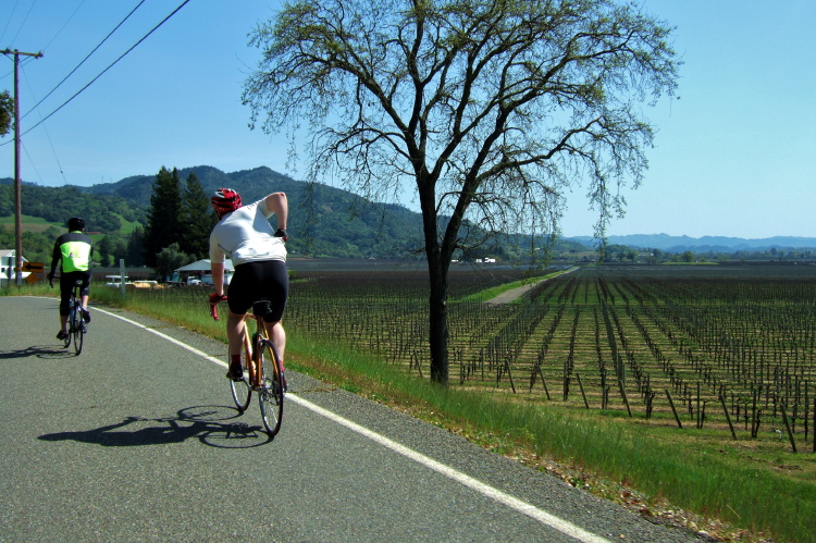 Riding Red Winery Rd. through Alexander Valley. (240ft)