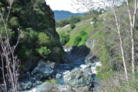 The narrows of Big Sulphur Creek Canyon.