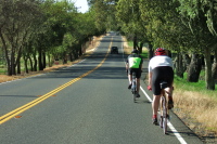 Finishing the ride on CA128 through Alexander Valley.