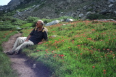 David rests amongst the indian paintbrush alongside the trail to Iceberg Lake.