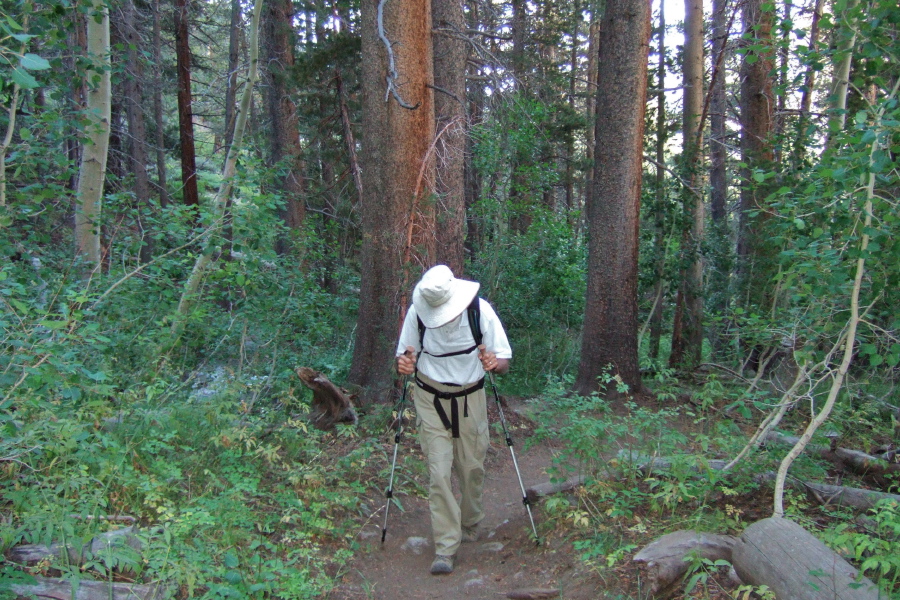 Much of our hike up the River Trail is through forests.