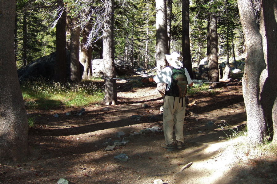 David indicates a multi-way trail junction.