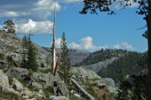 An old snag stands in the rocks above Shadow Creek.