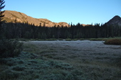 Agnew Meadow before sunrise