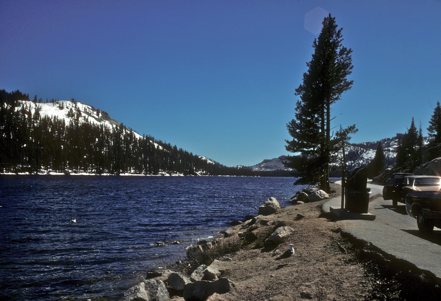 Tenaya Lake