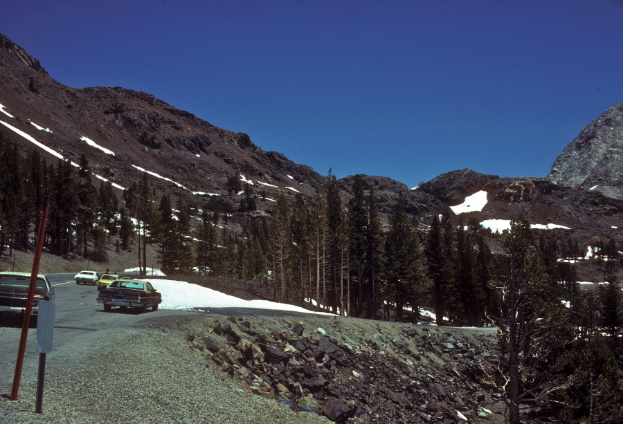 Cars parked along Tioga Road near Ellery Lake