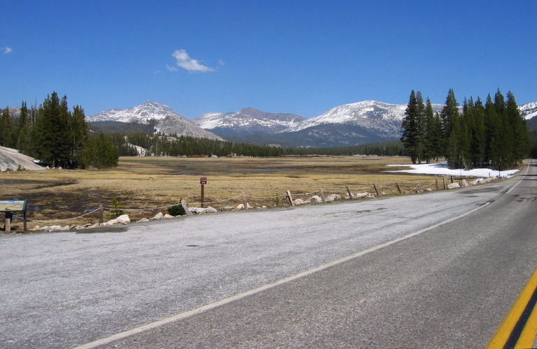 Tuolumne Meadows (8600ft).