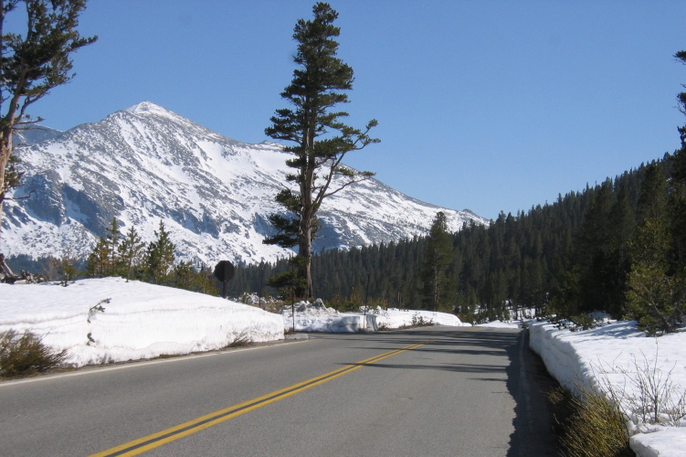 Tioga Pass Rd. west of the pass. (9930ft)