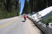 Snow drifts on the south side of the road near White Wolf (8224ft).