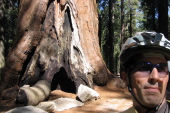 Pausing at a big Sequoia in the Tuolumne Grove (5480ft).
