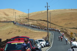 The peloton continue up Morgan Territory Road.