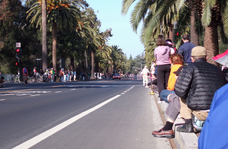 View down Palm Drive toward Palo Alto.