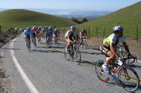 The remnants of the peloton nearing the summit of Sierra Rd. (3)