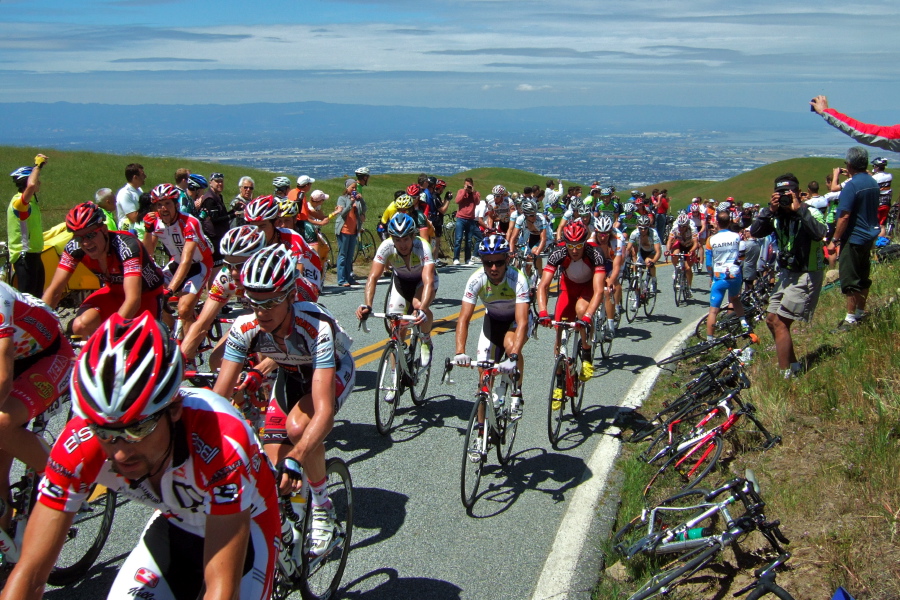 The peloton (8).