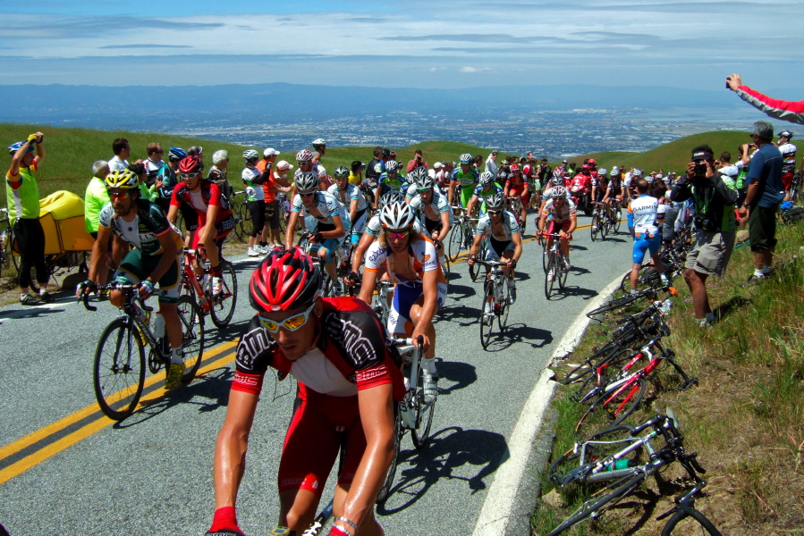 The peloton (9).