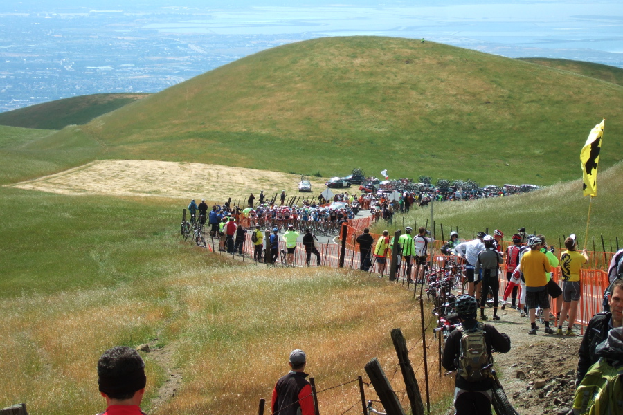 Here comes the peloton.