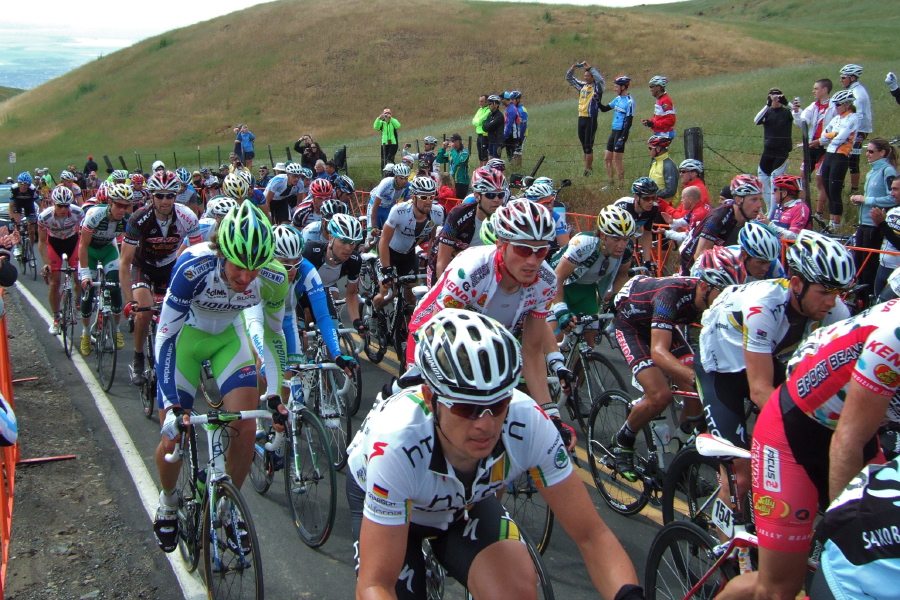 The peloton (4)