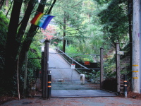 A Friendly Entrance in Mill Valley