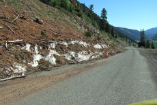 A patch of dirt-covered snow by the road