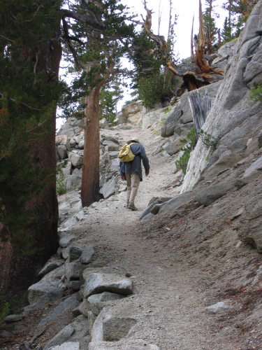 David climbs up the last hill on the way back to the start.