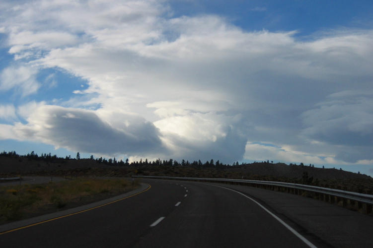 Two Swans above US395.