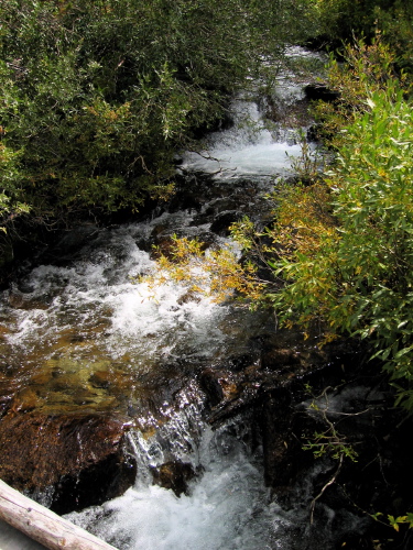 Water flowing in the South Fork of Bishop Creek.