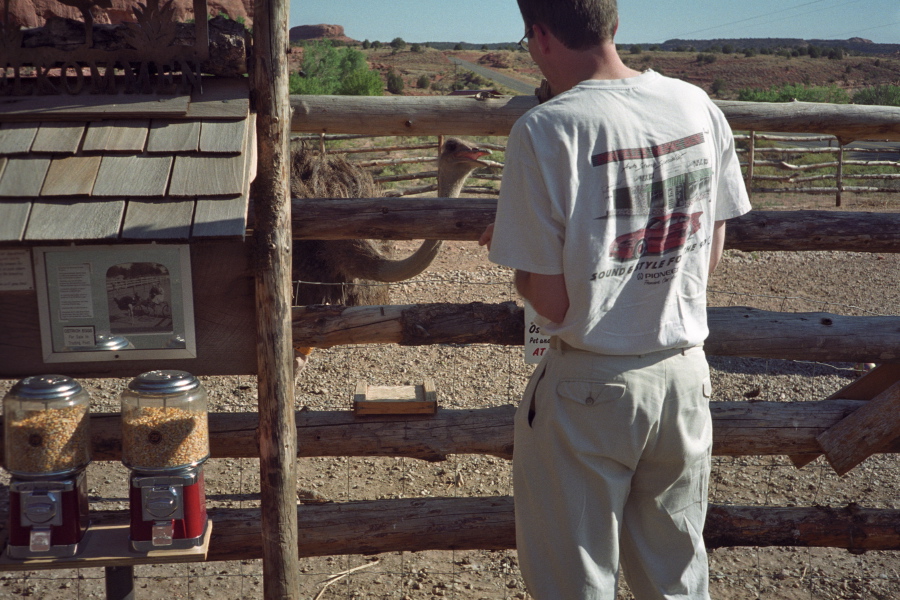 The ostrich starts a conversation.