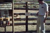 Bill cautiously approaches and ostrich.