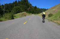 Climbing Mattole Rd. to the east side of Panther Gap. (1760ft)