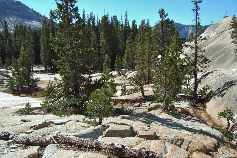 The confluence of Sunrise Creek and Tenaya Creek lies ahead.