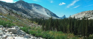 Tenaya Valley and Forest