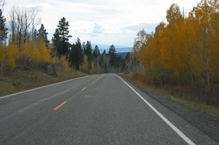 Some aspens are at their peak color.