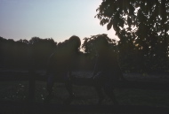 Silhouettes of Ed and Heather Bushnell at The Hagmayer's